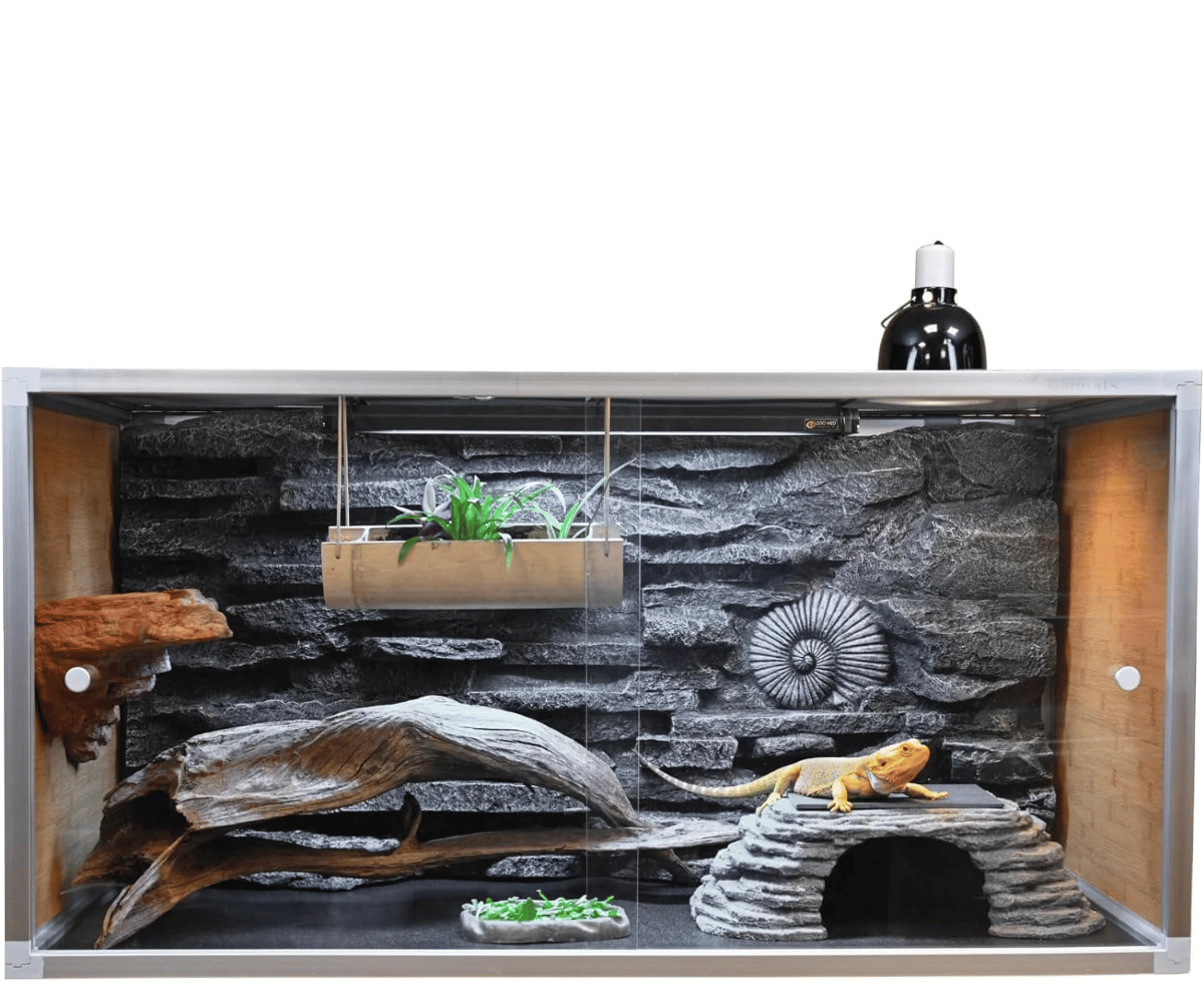 2024 BEST Bearded Dragon Cages To Pamper Your Pet!